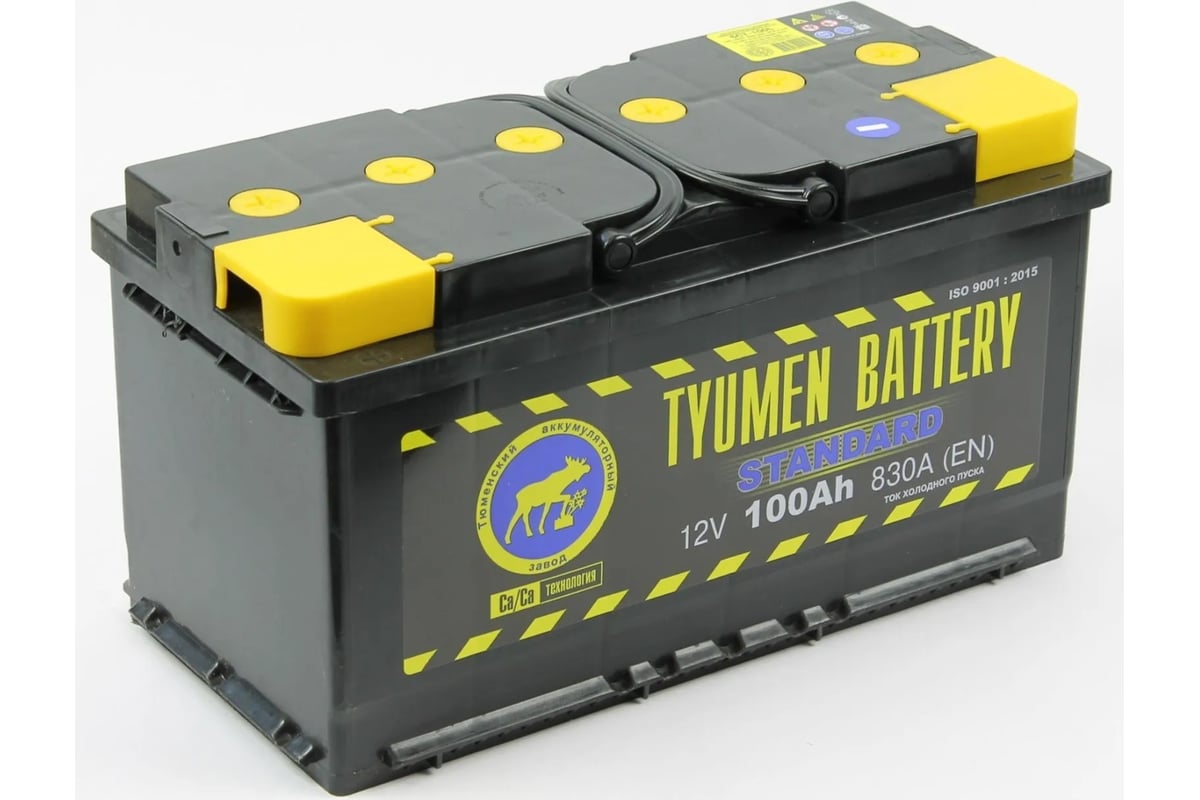 Аккумуляторная батарея TYUMEN BATTERY Тюмень standard 6ст -100.1 l TNS100.1  - выгодная цена, отзывы, характеристики, фото - купить в Москве и РФ