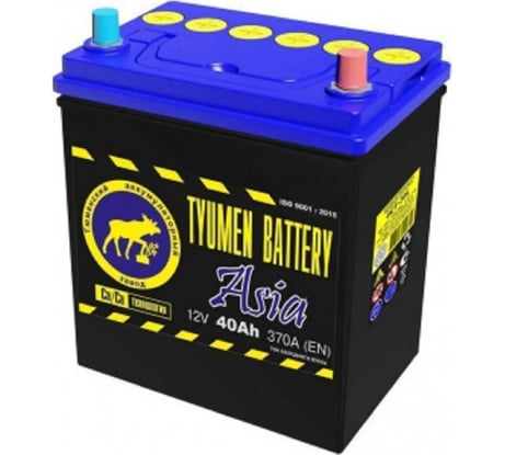 Аккумуляторная батарея TYUMEN BATTERY Тюмень asia 6ст-40.0 тонк.кл. TNSa40.0