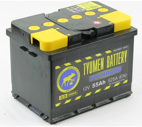 Аккумуляторная батарея TYUMEN BATTERY Тюмень standard 6ст -55.0 l TNS55.0