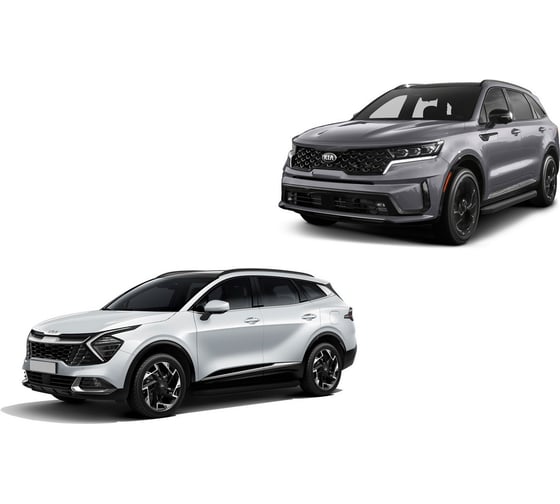 Пороги на авто Rival для kia sportage v/sorento iv/hyundai tucson iv/santa fe iv рест. A180ALB.2313.2