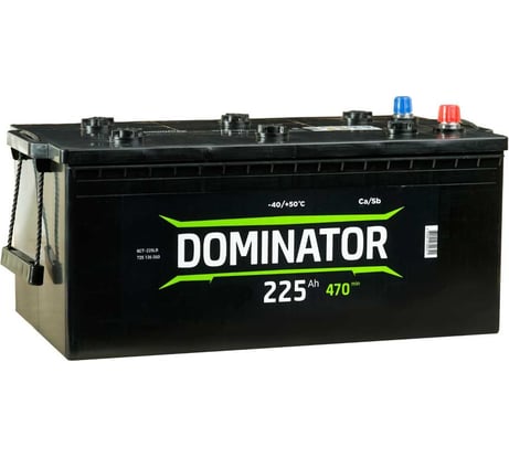 Аккумулятор DOMINATOR 6 СТ 225 Ач 3 LR, 1350 А ССА, 725136060