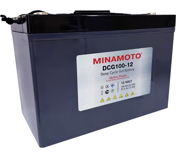 Тяговый моноблок MINAMOTO DCG100-12 (12В, 100Ач) (гель) 596000