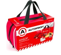 Автомобильный набор AUTOPROFI Гольф-Класс Ekit-1600