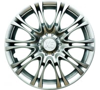 Колпаки LION 15x5, пруж., серебристый, 2 шт. AK1524