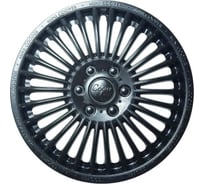 Колпаки LION Мини-Купер 13, черный глянец, комплект 2 шт. LW1316