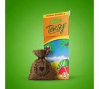 Ароматизатор Tensy холщовый мешочек, с пробником, арбуз Tme-06