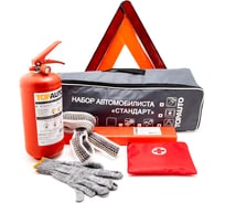 Набор автомобилиста TopAuto стандарт2 сумка, огнетушитель оп-2 железный с манометром, трос 3.5т 2 петли, аптечка по ту, знак rt-199 eac, перчатки НАС2
