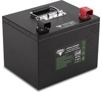 Тяговый аккумулятор Rutrike LiFePO4 24 В, 40 Ач, 60 A 02421