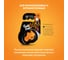 Ароматизатор Wisper GEKO FAN ORANGE WGFOR 3