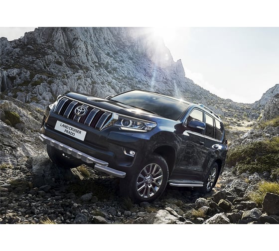 Защита переднего бампера для Toyota Land Cruiser Prado 150 2017- Rival R.5721.010