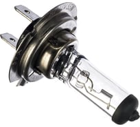 Автолампа Н7 12V 55W Px26d ЭРА Б0036779