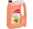 Омывающая жидкость TOTACHI NIRO CLEAR VIEW SUMMER 4 л 31604 1