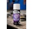 Очиститель тормозных дисков CLEANDRY Spray 520 мл LIKSIR 500206 4