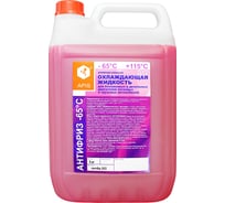 Охлаждающая жидкость для двигателя автомобиля APIS Антифриз-65 G12 5 кг RUZ-006-0004