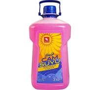 Жидкость для омывателя стекла Petrol Ofisi YAZLIK CAM SUYU, 2,5 л 400000864