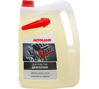 Чистящее средство для двигателя Autoland Engin Cleaner 5 л Канистра 124015099