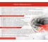 Антифриз PROFI PREMIUM -40 красный G12+ канистра 20 кг 12-40-020 6