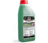 Концентрат жидкости стеклоомывателя Прохим (1/5) 1 л AVS AVK-035 A78128S