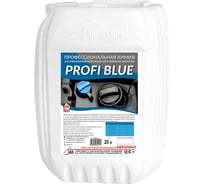Средство для снижения выбросов окиси азота дизельных двигателей PROFI BLUE в канистре, 20л PB-20