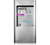Биндер HOTZ 1K основа для базовой эмали, металликов, автомобильной краски 5L 4673755216277