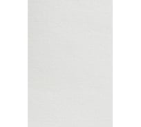 Салфетки для впитывания жидкостей Higen X60 в рулоне, белые, 60 gsm, 32x32 см, 80/20, 460 лст/рул 6088