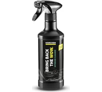 Чистящее средство для салона Karcher RM 651 0.5 л 6.296-106