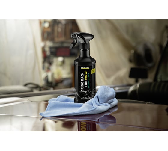 Чистящее средство для салона Karcher RM 651 0.5 л 6.296-106