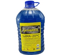 Стеклоомывающая жидкость ЛАДОГА -20 (Канистра 4л) LAH_SJ_20_4