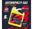 Антифриз LAVR MOTO ANTIFREEZE GT P-OAT, 5 кг Ln7912 2