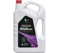 Антифриз VD GROUP G12 EVO розовый -45С 5кг VD-0024