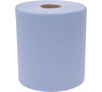 Протирочная бумага 22x35см, 2-х слойная, 500 листов Gigant GPWR-22