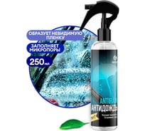Средство для стекол и зеркал Grass Антидождь флакон, 250 мл, сети 135250/8