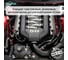 Очиститель двигателя AutoMagic MOTOR DEGREASER (USA), 5R упак.2шт 5R_2 5