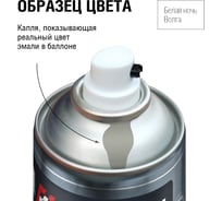 Автоэмаль алкидная Auton аэрозоль, Белая ночь Bолга 520 мл ATN-A46186