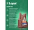 Антифриз концентрат Lopal C31 LEC-I (4кг) LPL38633 4