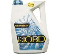 Антифриз NORD морская волна, 3 кг NSW22281