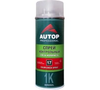Спрей контрольный AUTOP Professional Слеза колориста №17, аэрозоль 520 мл ATP-A07591