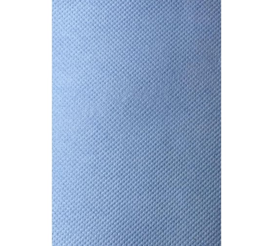 Протирочное полотенце Jasmin professional 2 сл., 2 рул., 33x35 см, 1000 отр., синее, d 7 см (w1, w2) ПП1000337