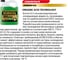 Антифриз KORSON концентрат, G12, зеленый 60 л KS20015 8