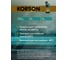 Тормозная жидкость KORSON DOT 4 1 л KS30011 3