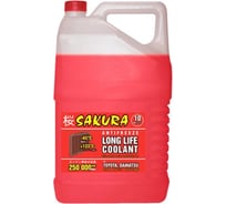 Антифриз Sakura (13824) RED красный, -45С, G12+, 10 кг 430201405