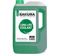 Антифриз Sakura (13824) GREEN зеленый -45С, G12+ 5 кг, для Nissan, Mitsubishi, Honda, Mazda, Suzuki, Subaru 430201404