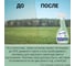 Средство для мытья окон КРИСТАЛЛИН 0.5/12 тропический бриз 400151 3