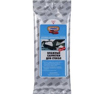 Влажные салфетки для стекол Pingo 20 шт./уп. 85070-2