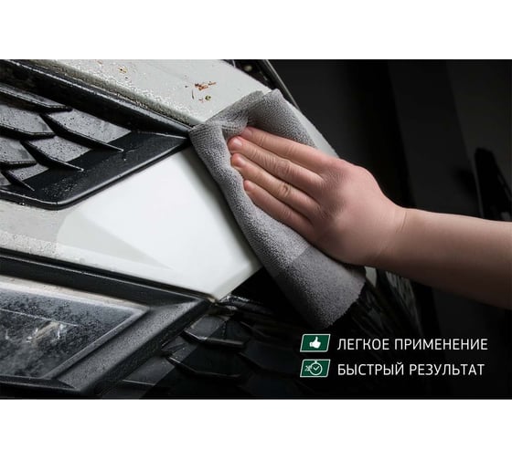 Очиститель кузова автомобиля от тополиных почек и следов насекомых Fortex FC.1104