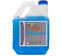 Стеклоомывающая жидкость, готовый раствор, 25 гр. Goodhim Eco Premium 97452