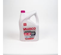 Антифриз VALESCO PRO-LONG G12+, -45`C, 5 кг 489087h