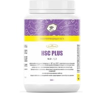 Электропроводящая паста Denzol’s HSC PLUS, банка 500 г DP0039 29977358