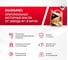 Моторное масло Biao Bang 1ST GOLD 5W-30 API SP ACEA A3/B4 (100_ синтетика) 4л VT10047 4
