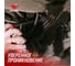 Жидкий ключ ВМПАВТО ВАЛЕРА, 400 мл флакон-аэрозоль 8610 8